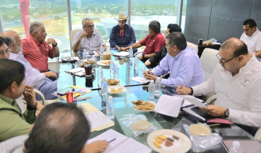 Impulsan en Tamaulipas la transformación del sorgo blanco
