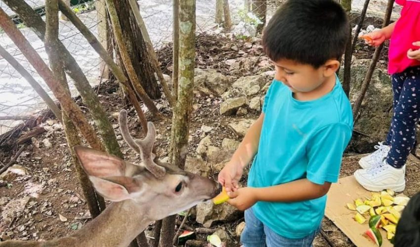 Genera Comisión de Parques guardianes de la naturaleza