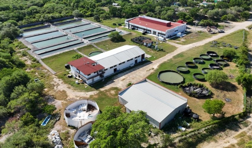 Fortalece Gobierno del Estado infraestructura educativa en la Universidad Tecnológica del Mar de Tamaulipas Bicentenario