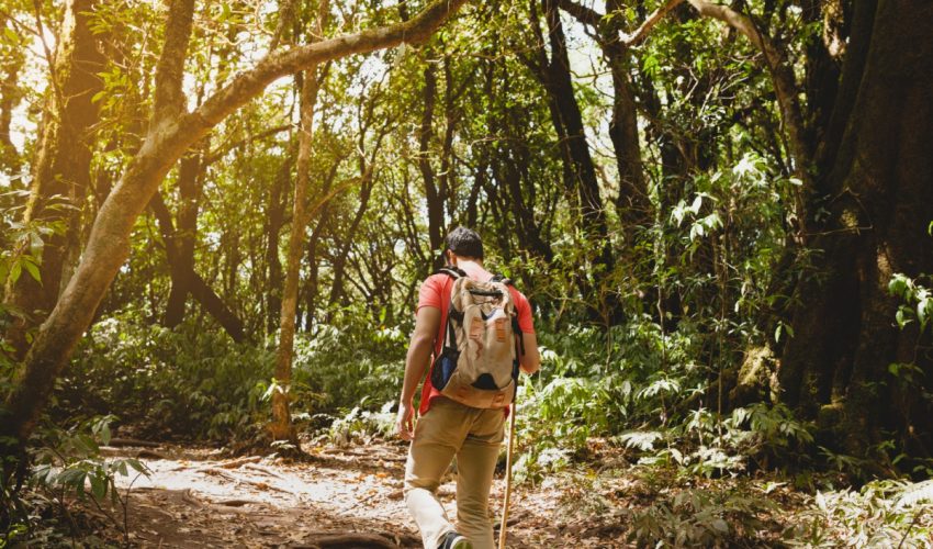 Ofrece Sectur capacitación para garantizar seguridad en actividades de turismo de aventura