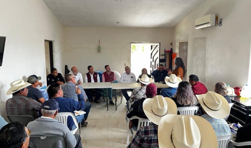 Fortalecen esquemas de apoyo para productores de trigo y maíz en San Fernando