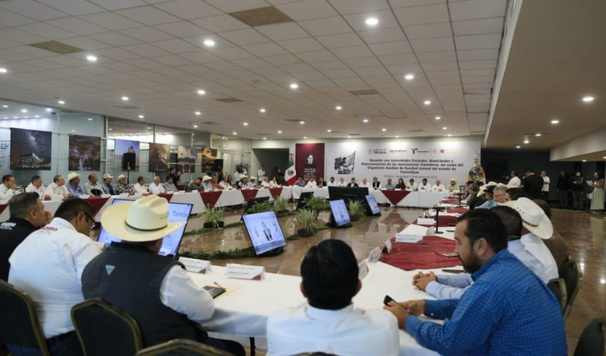 Tamaulipas refuerza acciones contra el gusano barrenador; no se cerrará comercialización del ganado: Berdegué Sacristán