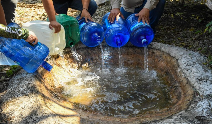 Refuerzan protección de fauna silvestre ante ola de calor en Tamaulipas