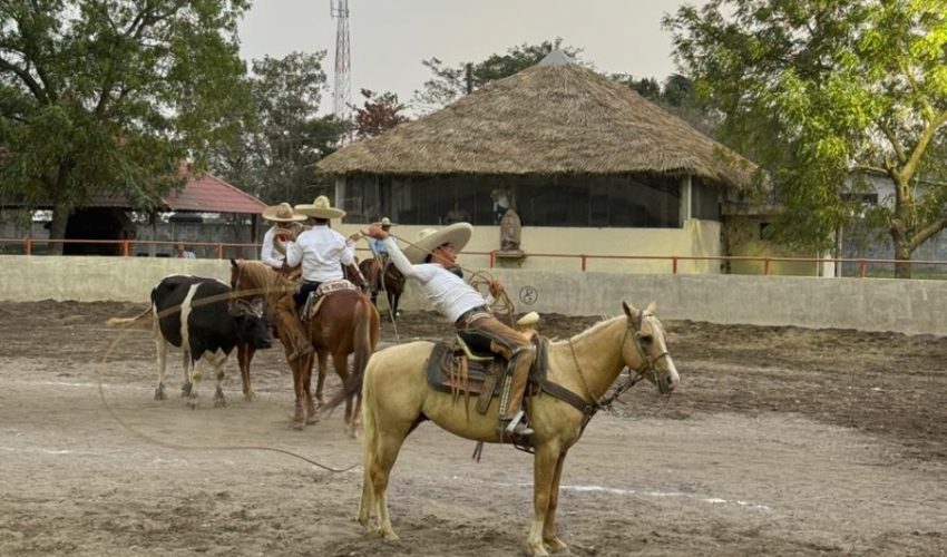 Concluyen estatales de diversas disciplinas rumbo a Olimpiada Nacional