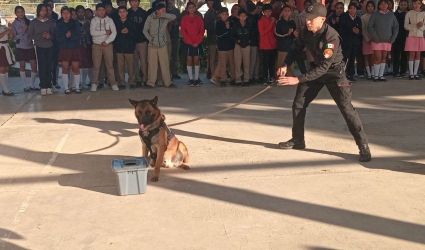 Con binomio canino antidrogas la Guardia Estatal refuerza la prevención en escuelas