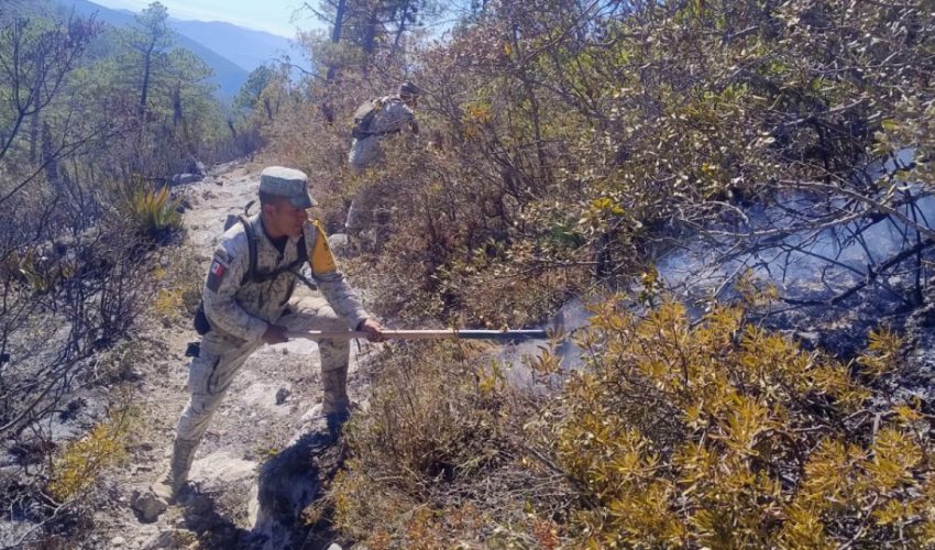 Avanza al 70 % el control del incendio forestal “Puerto del Volcán” en Miquihuana
