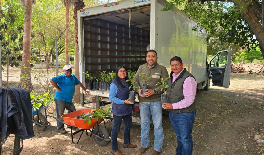 Avanza Nuevo Laredo hacia un entorno más verde y sustentable