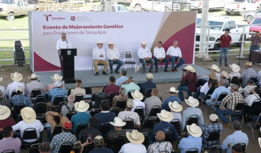 Dan impulso a la ganadería con sementales de alto valor genético