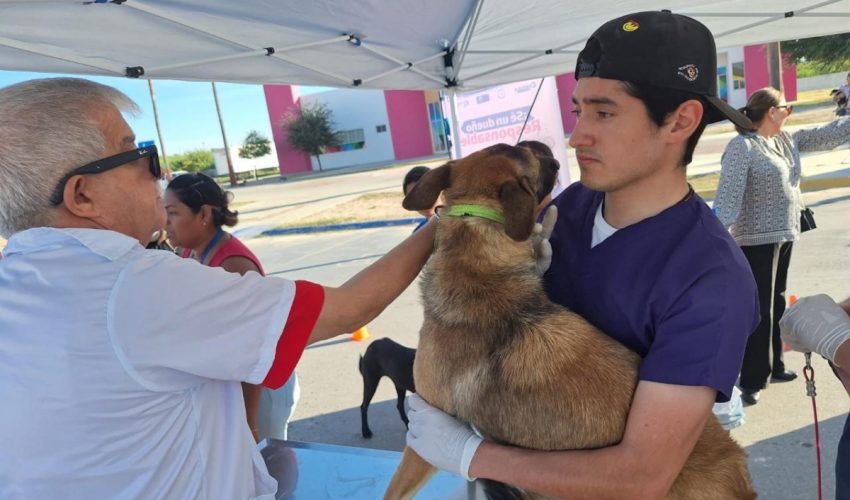 Refuerza Salud campaña de vacunación antirrábica para perros y gatos en todo el estado