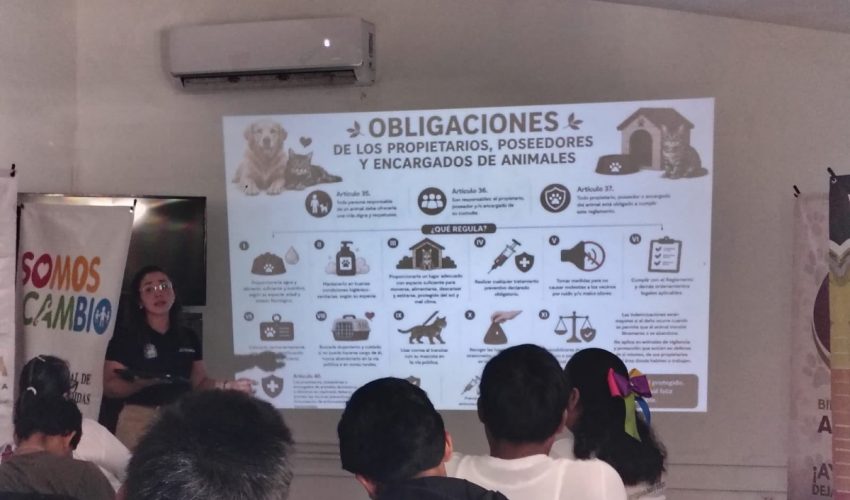 Gana Tamaulipas primer lugar nacional en “Somos el Cambio 2026”