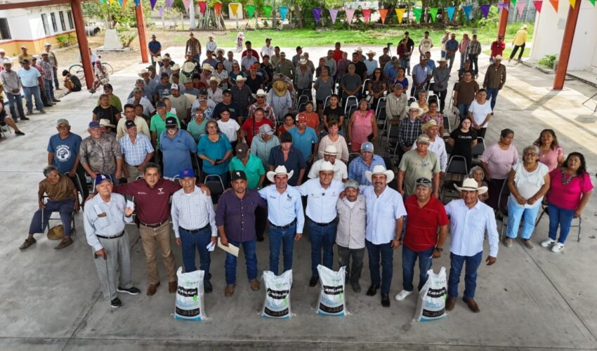 Continúa apoyo a la citricultura con entrega de fertilizante en Llera